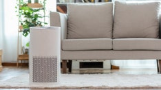 Allergy season is coming: Get up to 46% off these air purifiers from Dyson, Levoit and more