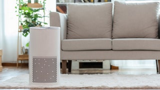 Allergy season is coming: Get up to 46% off these air purifiers from Dyson, Levoit and more