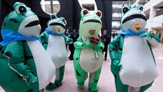 DAVID MARCUS: Delusional Dems ' dancing pet frogs are Antifa thugs