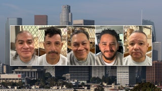 California sanctuary policies blamed after ICE arrests 9 sex offenders in Los Angeles