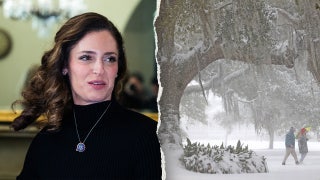 Louisiana GOP lawmaker urges FEMA aid for 'hurricane' like ice storm as DHS shutdown drags on