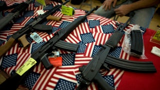 Gun rights expert says Minnesota Dems tried to block her testimony on firearm bills to 'avoid' policy debate