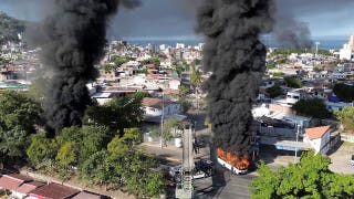 Cruz warned Mexico officials 'President Trump was going to' act if they didn't fight cartels