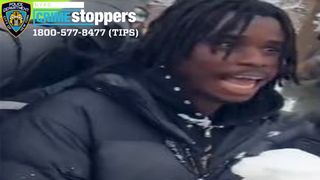 NYPD arrests suspect in park attack on officers that Mamdani dismissed as 'snowball fight'