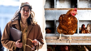 House Dem's graphic chicken decapitation 'horrified' her college roommates: 'Blood went everywhere'