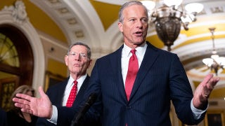 Schumer, Dems' goal is to 'tie people down' so they can't campaign, Thune says
