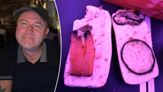 Vegan passenger horrified after airline served 'rotten' sandwich on flight: 'Worst meal I have ever had'