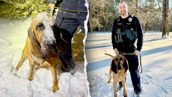 Missing boy with special needs found after K-9 search in brutal winter storm - Fox News