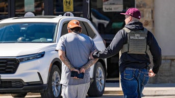 White House reaffirms Trump is on mission to carry out 'largest mass deportation' op - Fox News