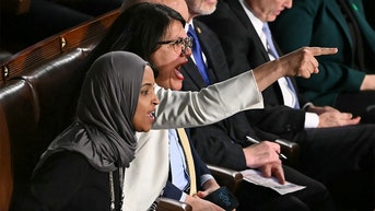 GOP strategist says Democrat sit-in during Trump challenge cut a 'billion dollar ad' - Fox News