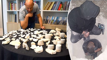 Five suspects nabbed with detectors reveal massive biblical-era find - Fox News