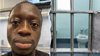 ICE arrests illegal immigrant training as Pennsylvania corrections officer suspected of rape - Fox News