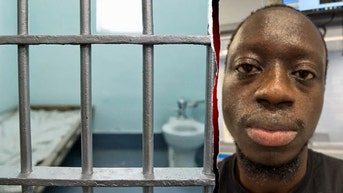 ICE arrests illegal immigrant training as Pennsylvania corrections officer suspected of rape - Fox News