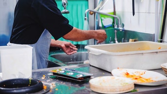 Diners rank the 10 ‘dirtiest’ states for restaurants — see if yours made the list - Fox News