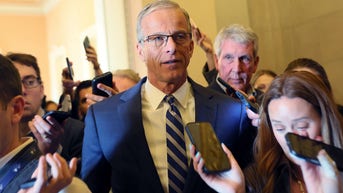 Senate Republicans unite behind voter eligibility act, forcing Democrat decision - Fox News