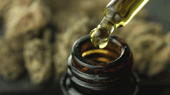 Marijuana compound may help prevent dementia when paired with common drug - Fox News