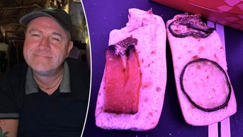 Vegan passenger horrified after airline served 'rotten' sandwich on flight: 'Worst meal I have ever had' - Fox News