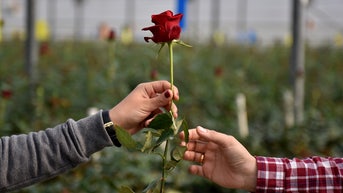 Americans believe in love across political lines, but fewer report being in love - Fox News