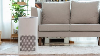 Allergy season is coming: Get up to 46% off these air purifiers from Dyson, Levoit and more