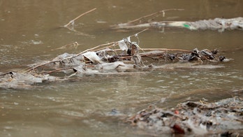 Green rhetoric, polluted water: The Left’s DC sewage failure is a disgrace