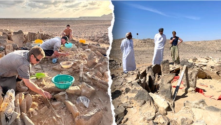 Ancient humans were hunting and eating sharks 7,000 years ago, burial site discovery shows