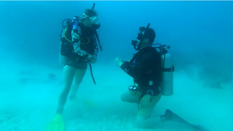 Diver drops to one knee 100 feet underwater in breathtaking Fiji shipwreck proposal