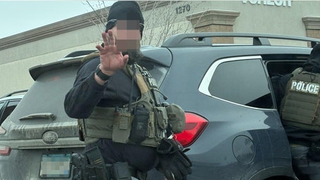 Anti-ICE 'digital Minutemen' use military-grade surveillance tactics against feds