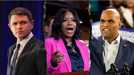 Texas Democrats called out over 'egregious circular firing squad behavior' in primary 