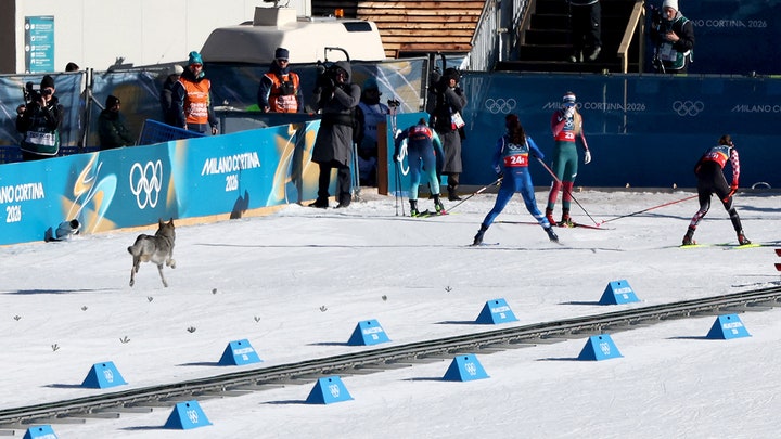 Fox News Flash top sports headlines for February 21