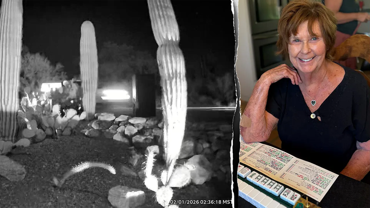 Never-before-seen Ring video shows cars on possible route from Nancy Guthrie's home - Fox News