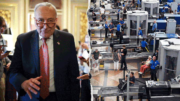 Schumer's DHS shutdown gambit hits turbulence as agency axes lawmaker perks - Fox News