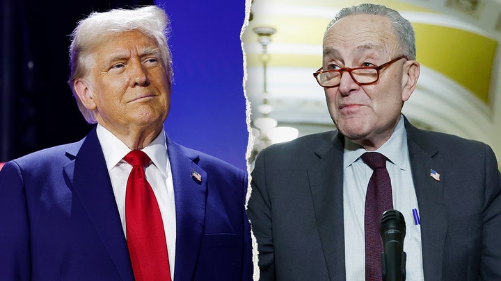 Trump mocks 'discombobulated' Schumer over gaffe on funding ICE - Fox News
