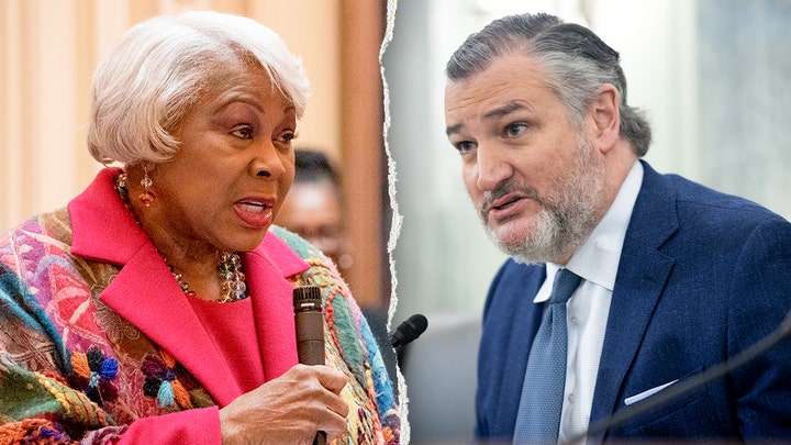 Democrat gives profanity-laced response to Ted Cruz's criticism of redistricting push - Fox News