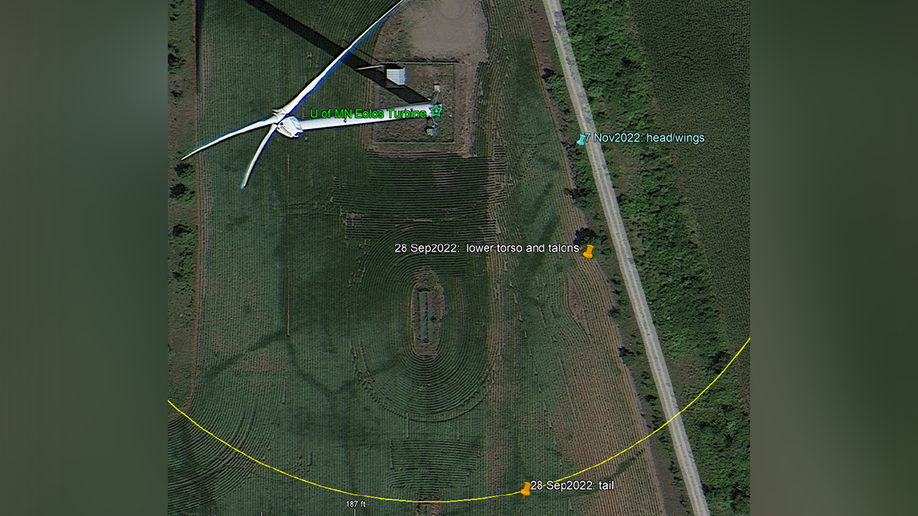 A graph showing the where a bald eagle's remains were scattered after hitting a turbine