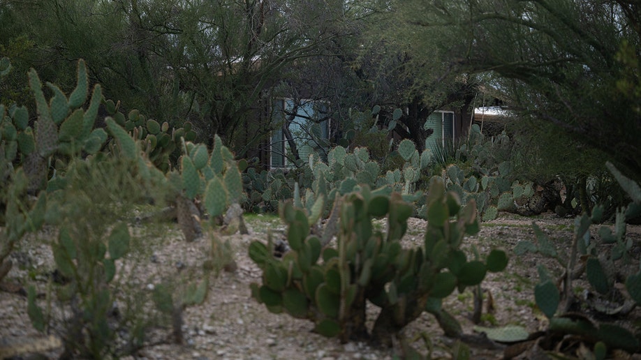 Nancy Guthrie's Annie Guthrie's home and residential exterior in Tucson.