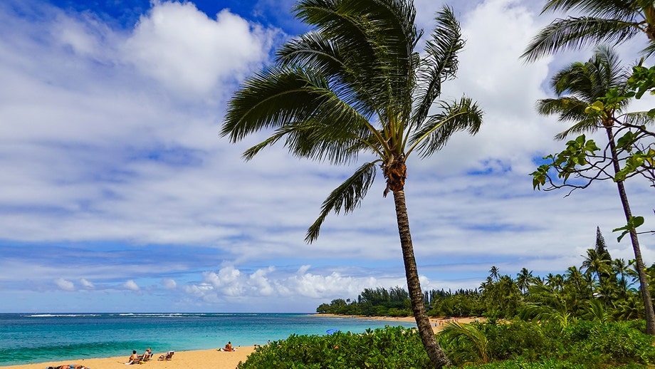 Hawaii cruise thrown into chaos after emergency in the water