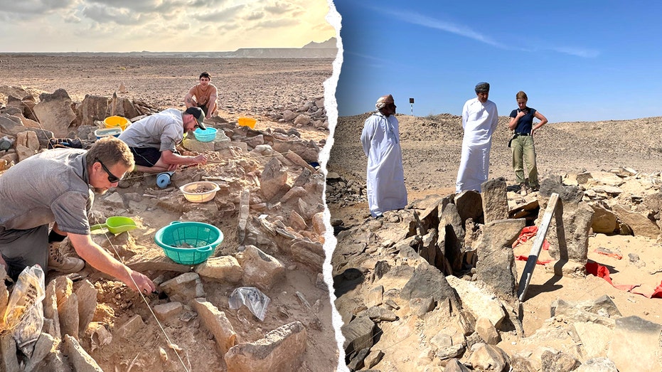 Ancient humans were hunting and eating sharks 7,000 years ago, burial site discovery shows