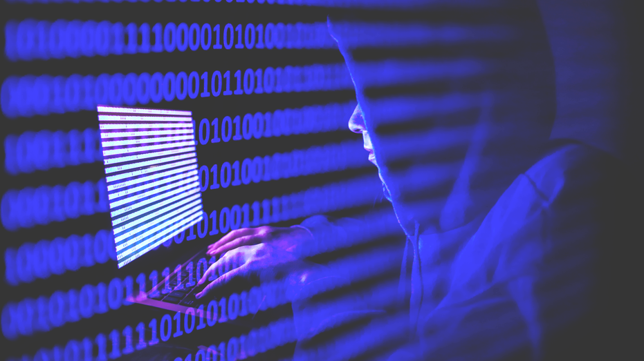 Nancy Guthrie case: Why criminals are turning to cryptocurrency for ransoms