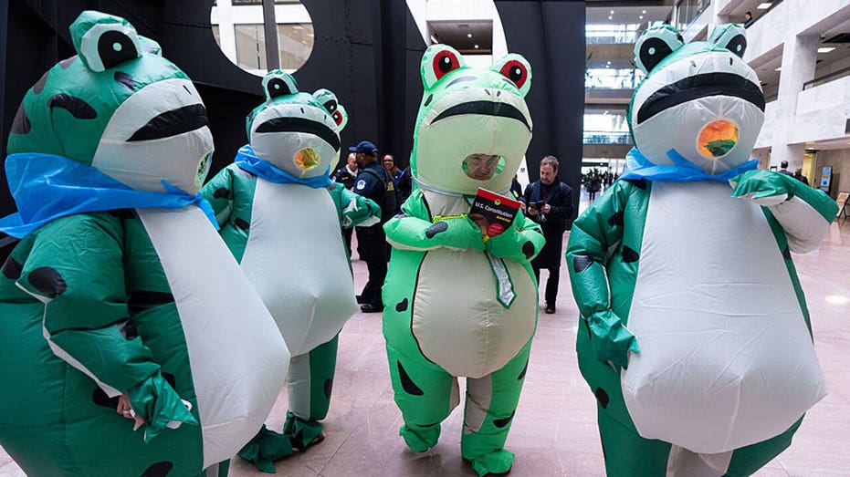 DAVID MARCUS: Delusional Dems ‘ dancing pet frogs are Antifa thugs