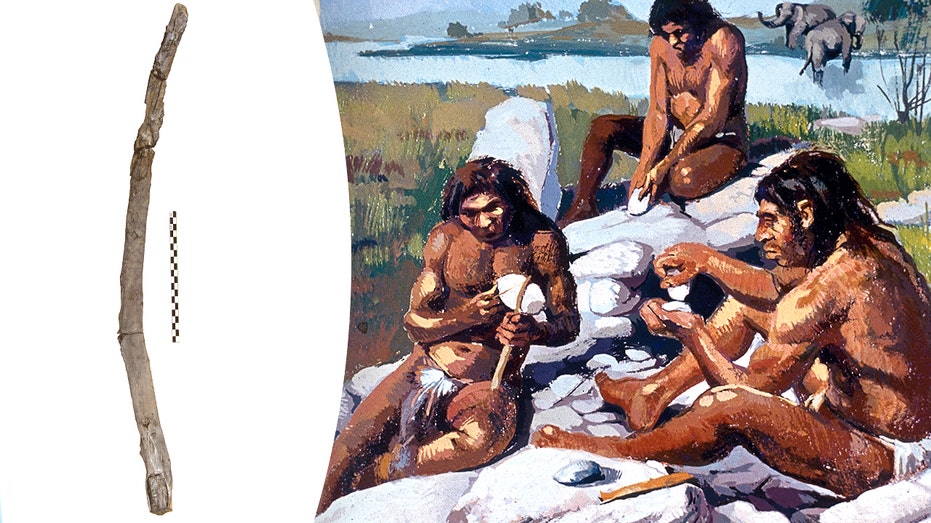 Oldest handheld wooden tools ever? Ancient artifacts preserved in mud mystify archaeologists