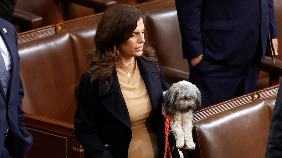 Nancy Mace proposes bill to make aliens deportable, inadmissible for animal cruelty