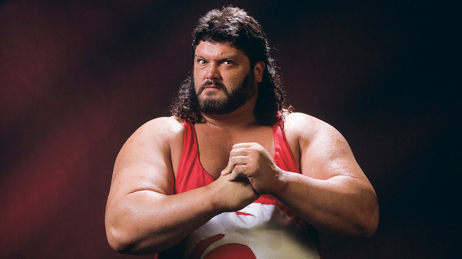 WWE legend reveals harrowing health battle: 'It’s been a fight'