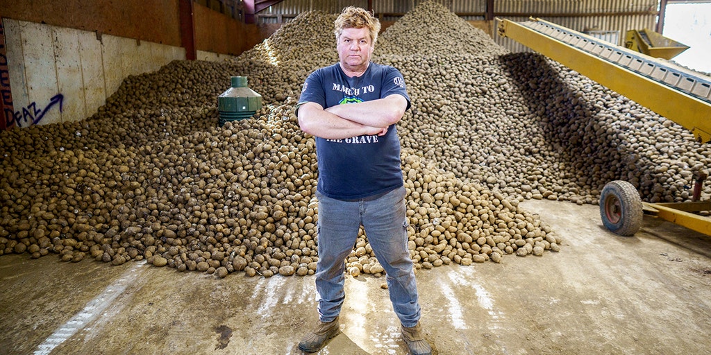 is compound semaglutide as effective as ozempic Ozempic Seattle (Weight Loss Medication)