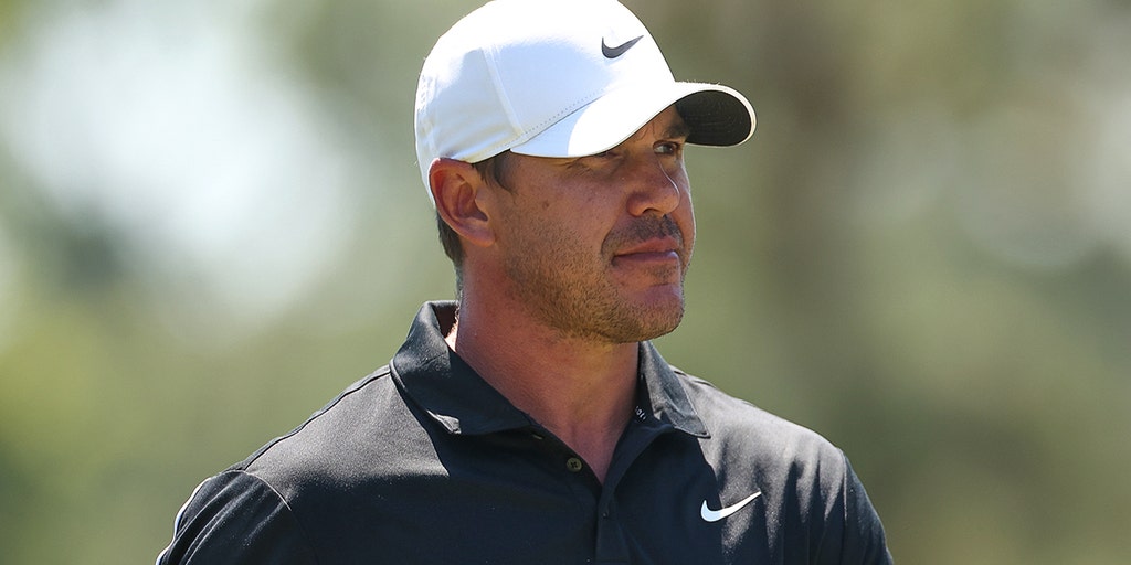 Artofzoo en español 