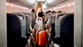 Plane seat location critical in emergencies as experts warn row position impacts survival odds - Fox News