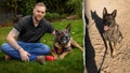 I served with my dog Dasty in Afghanistan. Dogs are man&rsquo;s best friend on the battlefield - Fox News