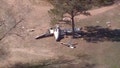 Emergency landing ends in tragedy as plane crashes on New Mexico golf course - Fox News