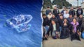 23 arrested in alleged panga illegal immigrant smuggling plot off California coast - Fox News