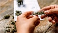 Cannabis compounds could reverse disease affecting one-third of adults - Fox News