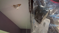 Woman claims space rock smashed into house after Houston-area blast rattles residents - Fox News